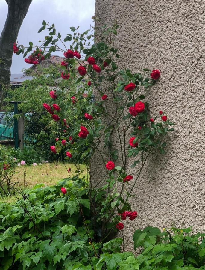 Gite De Pampe Lune & Spa Pampelonne Exteriér fotografie